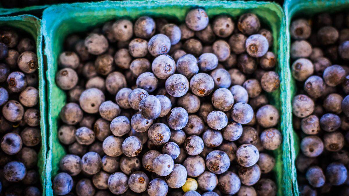 Bright blueberries at the Charlotte Regional Farmers Market. Photo by Rémy Thurston.