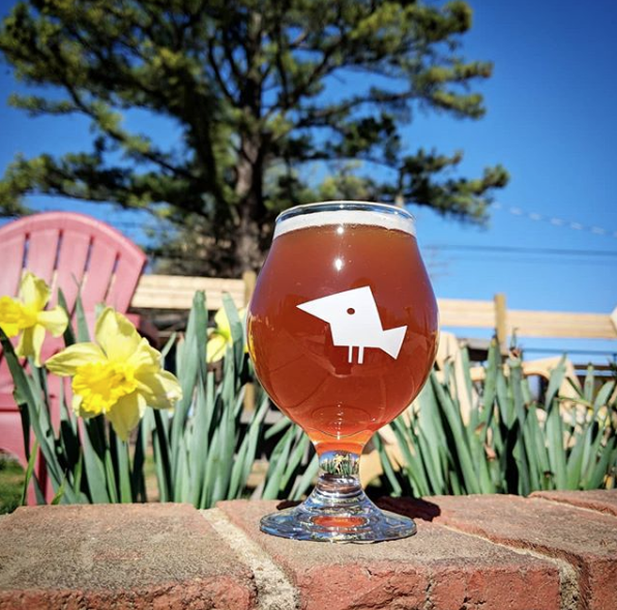 via Instagram (birdsongbrewing)