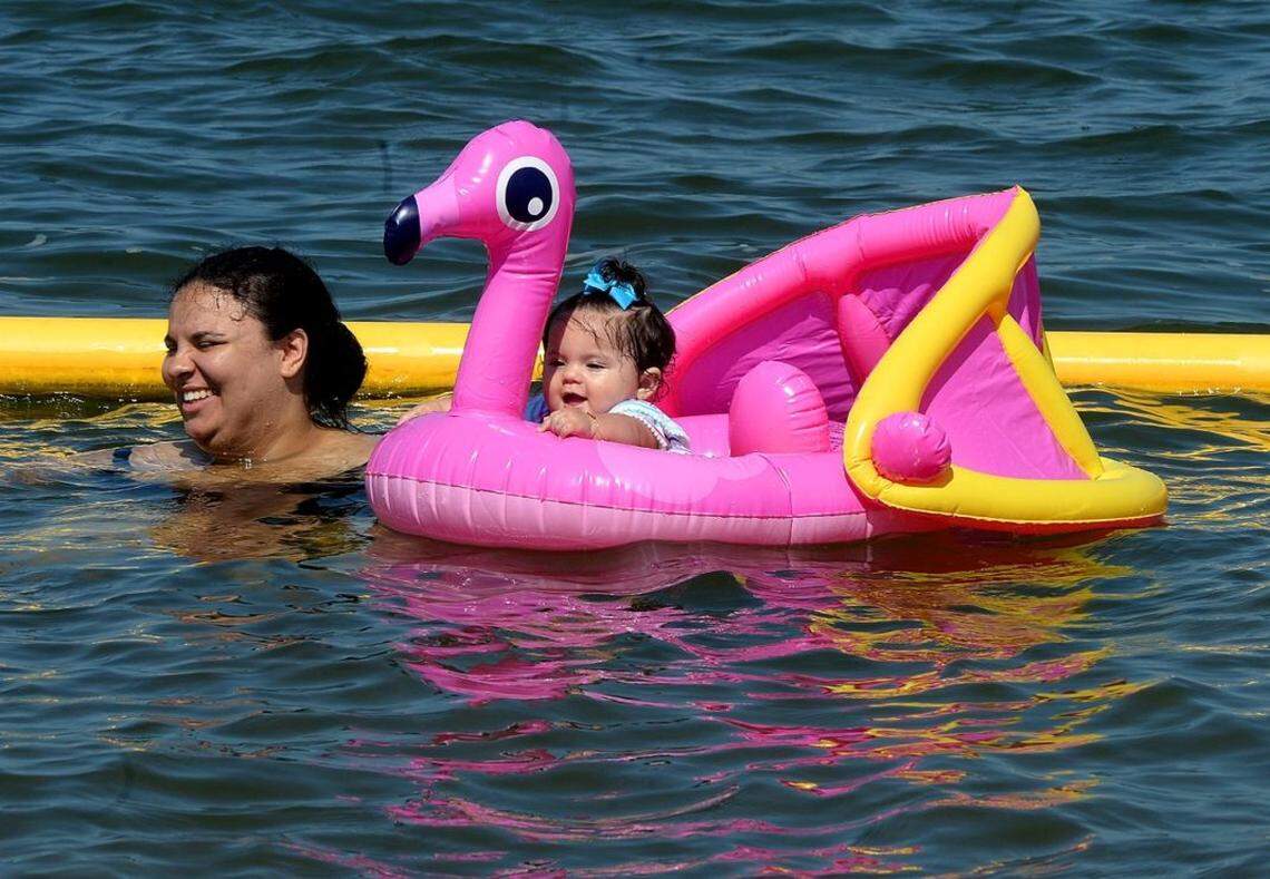 Photo by Diedra Laird, Charlotte Observer