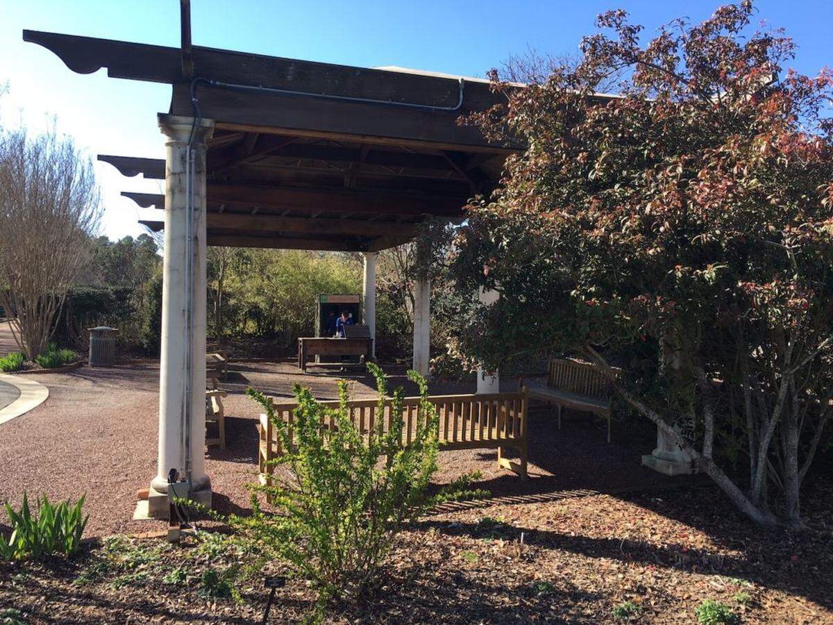 Beer Garden in the works. Photo courtesy of DSBG.
