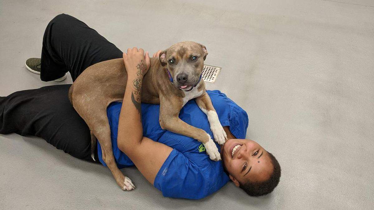 Courtesy of The Humane Society of Charlotte