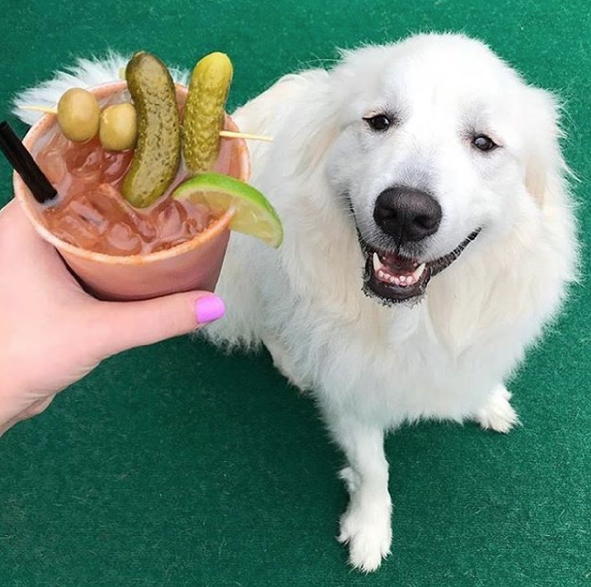 via Instagram (aliciarthomas)