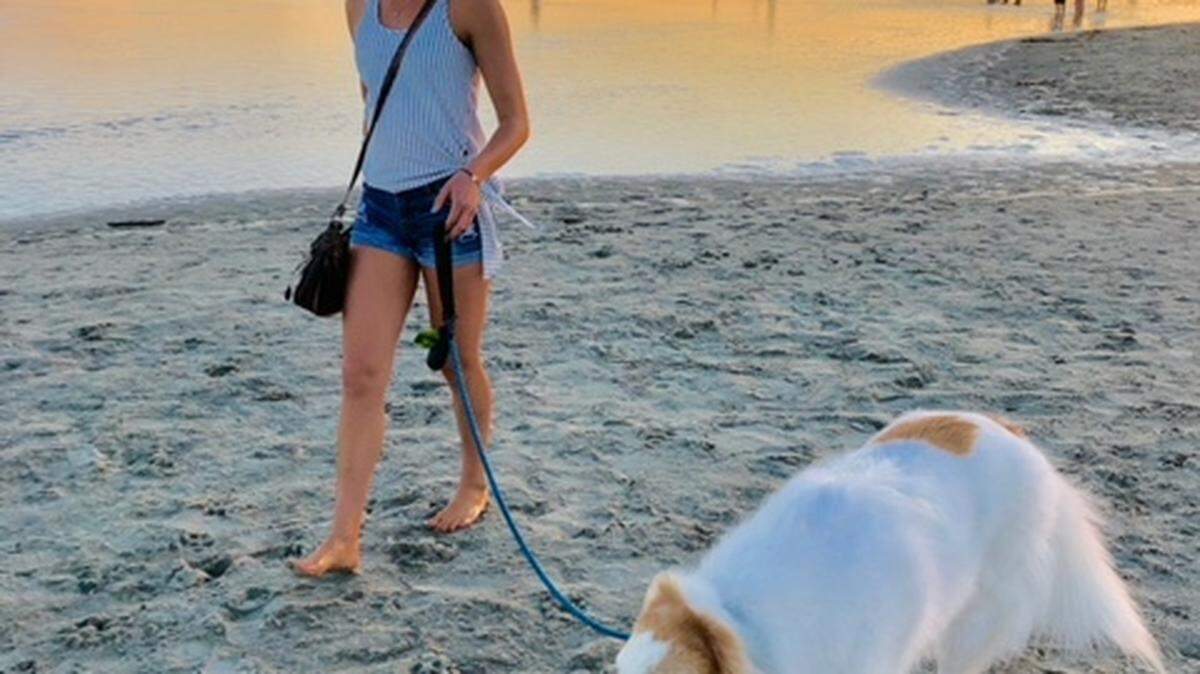 A dog-friendly trip  to Charleston, SC. Photo by Remy Thurston