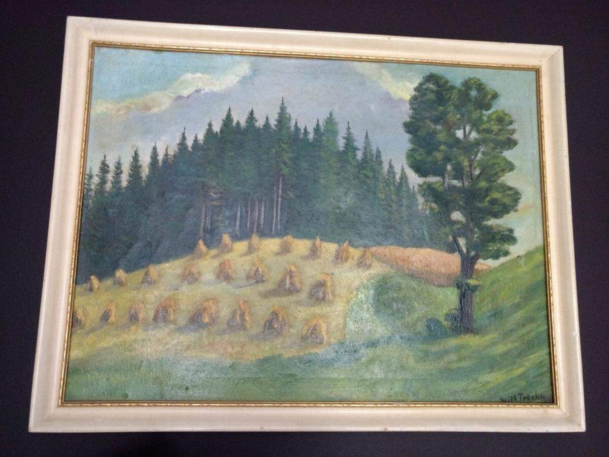 24 x 30 amateur landscape from antique store. The canvas has a couple of holes in it, but the price was right! ($35, framed)