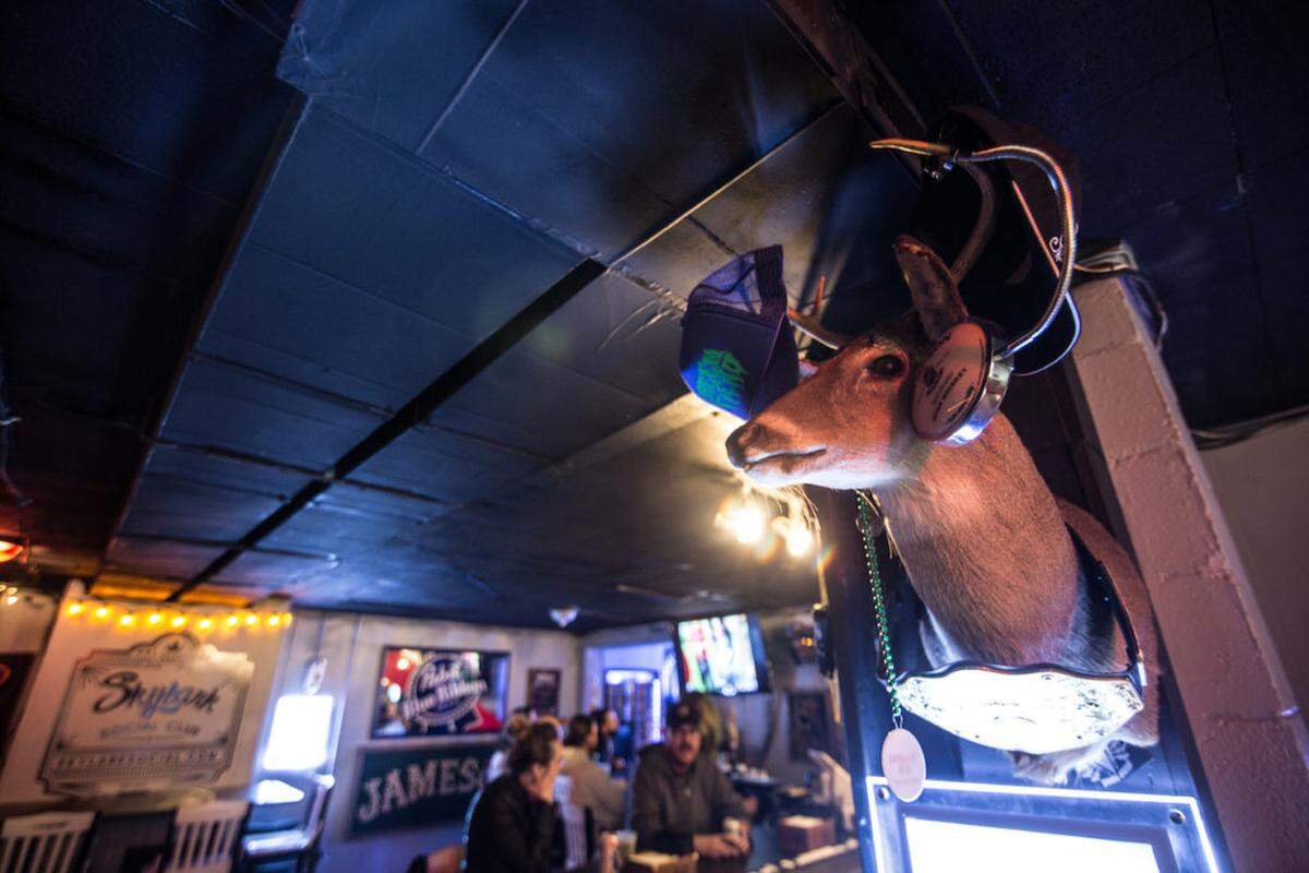 Photo by Justin Driscoll<br/>Skylark