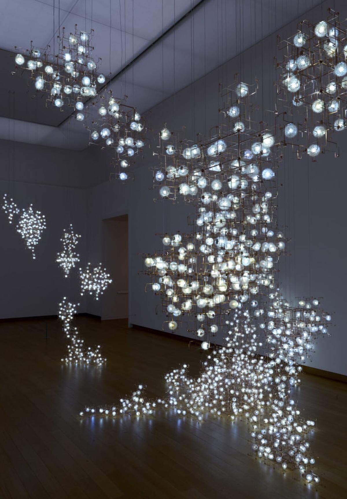 Courtesy of the Mint Musem<br>Immersed in Light
