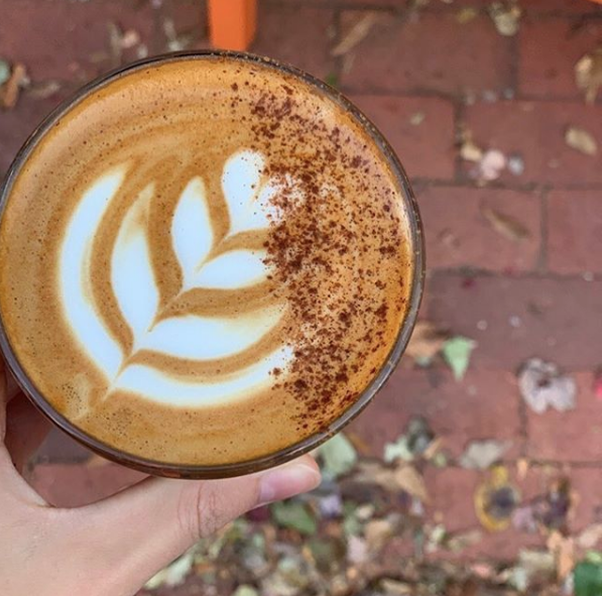 via @summitcoffee on Instagram