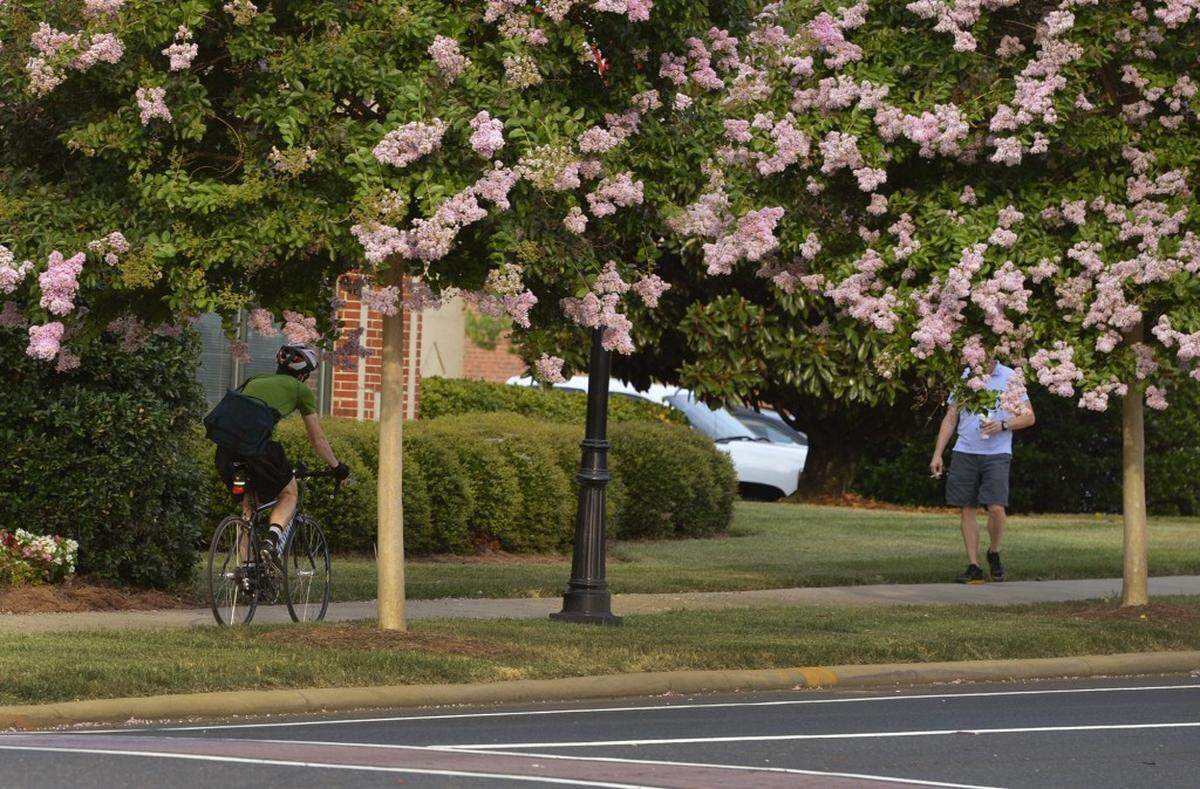 A biker chooses to use the sidewalk instead of a bike lane along West Morehead Street Thursday, June 25, 2015.Charlotte only has 2 state-operated roads that underwent a road diet in the last 8 years or so to accomodate for bike lanes.  West Morehead Street and Statesville Road.  Under new legislation proposed by House Bill 44, the Senate wants to regulate how/when cities use road diets on state-operated roads, basically not allowing for the elimination of lanes to create bike lanes. Lucky for Charlotte, most of our road diets have been on city-operated roads.