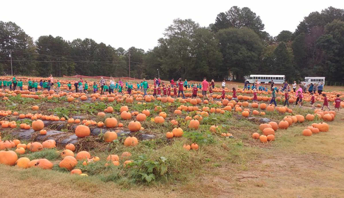 @hallfamilyfarm