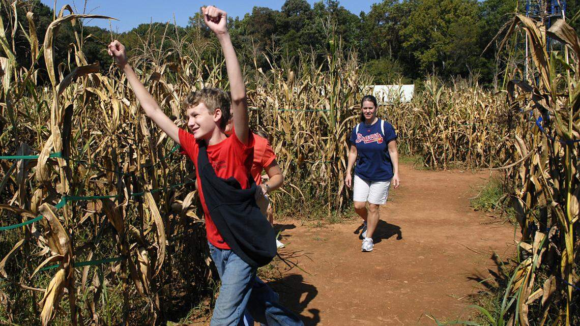 Rural Hill’s Amazing Maize Maze is one of the largest corn mazes in the Southeast.