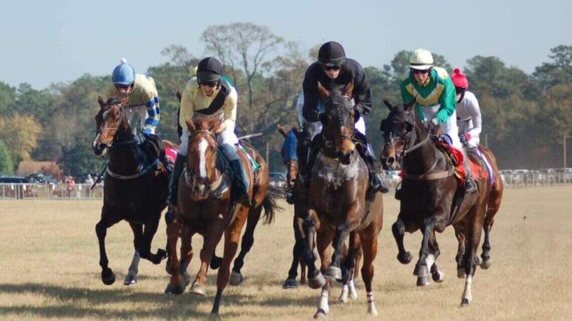 Betting on horse racing in SC? Lawmakers studying billion-dollar equine industry