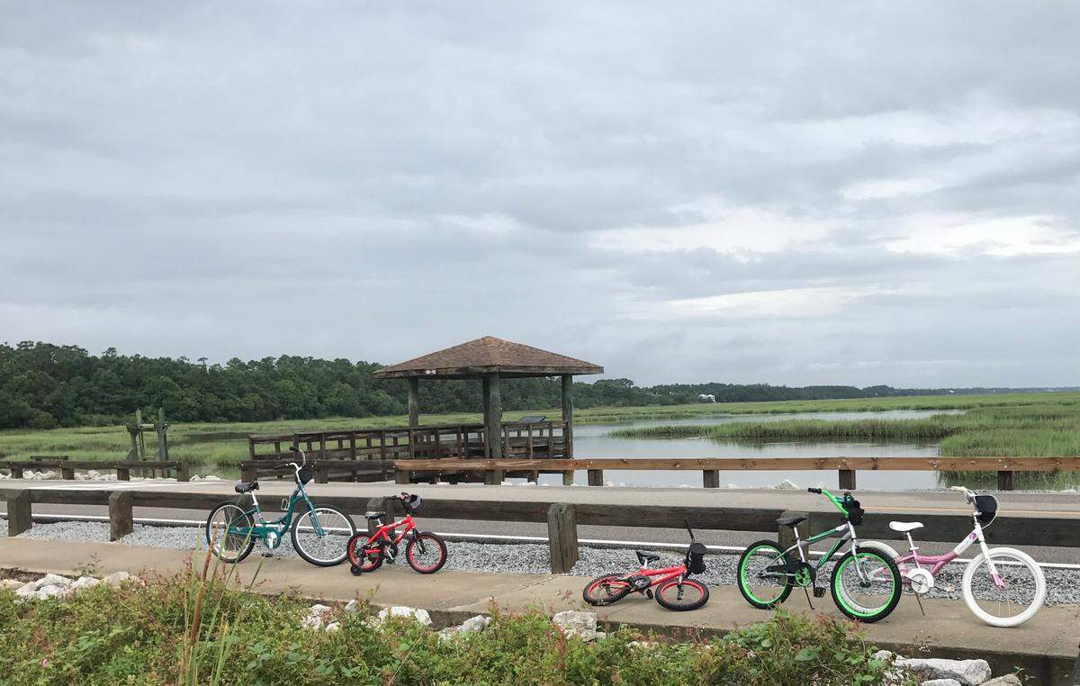 Huntington Beach State Park has a viewing deck on a pond where visitors can see wildlife such as alligators, egrets, herons and more.