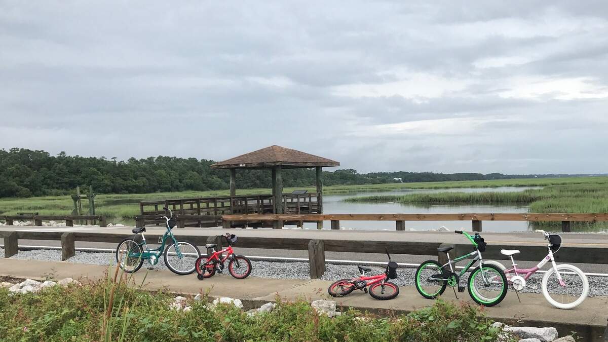 Huntington Beach State Park has a viewing deck on a pond where visitors can see wildlife such as alligators, egrets, herons and more.