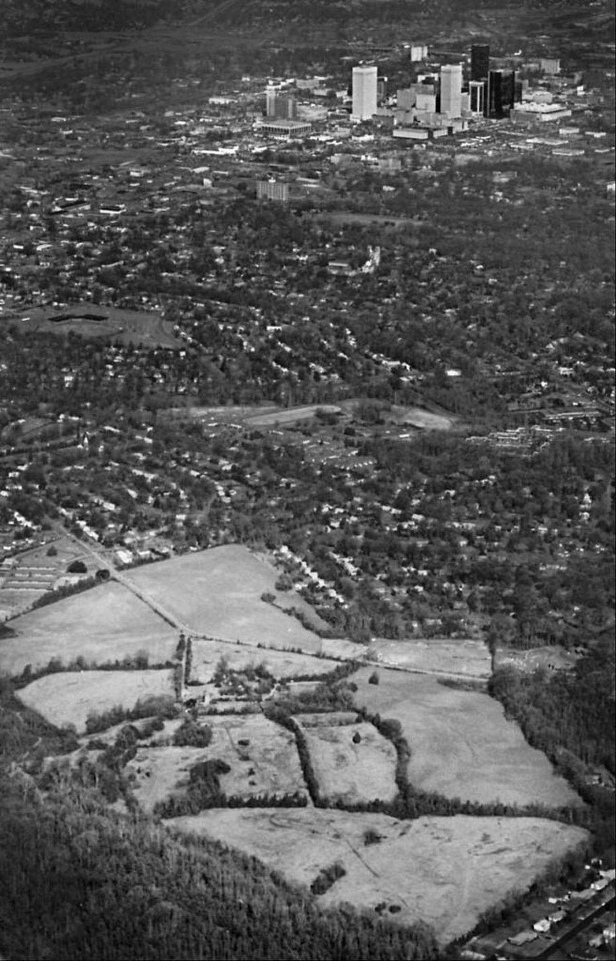 The Ashcraft dairy farm on Marsh Road in 1981, with the Charlotte skyline in the background. The farm is now dense housing. Observer archives