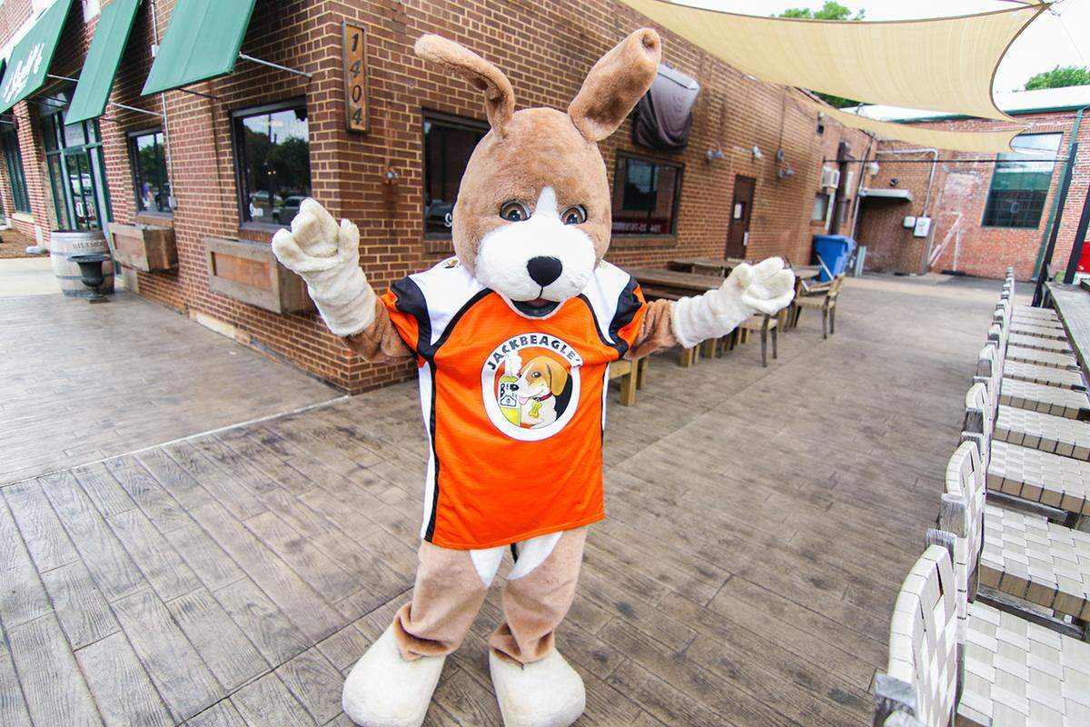 JackBeagle’s mascot.