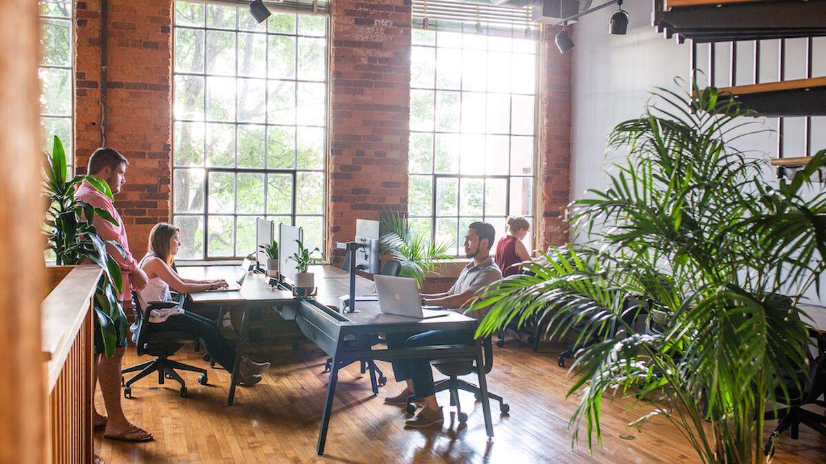 Photo by Remy Thurston/Courtesy of The Mill Coworking