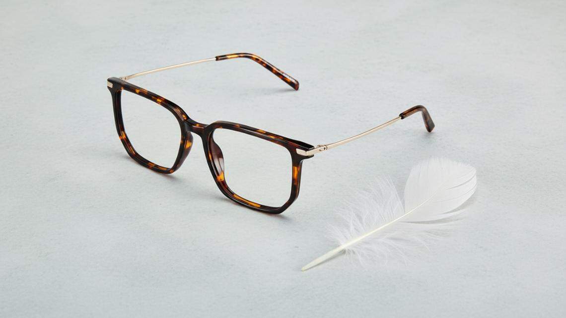 The Glasses You Forget You’re Wearing: Inside ZEELOOL’s Air Flex Collection