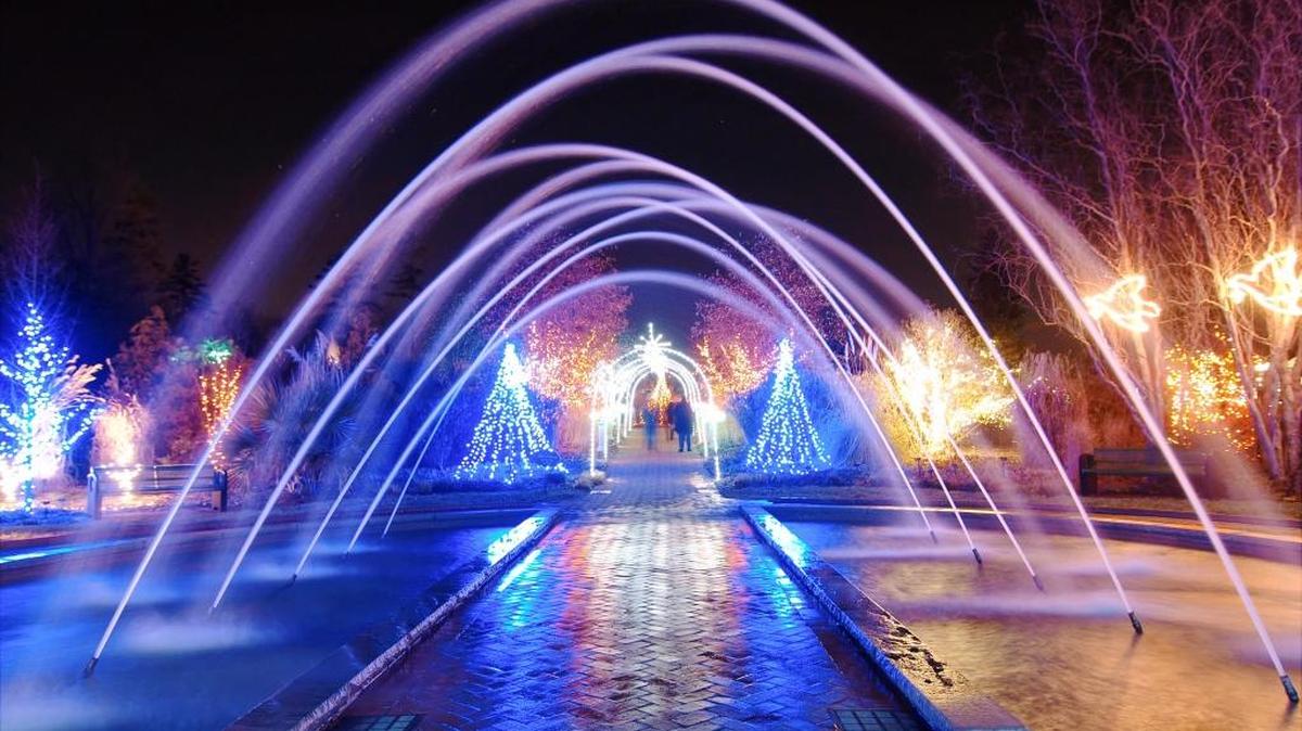 Holidays at the Garden Daniel Stowe Botanical Garden, 6500 S. New Hope Road, BelmontFriday, 4-9 p.m.: Enjoy botanical-themed displays, holiday crafts, live music, horse-drawn carriage rides, a model train display and visits from Santa from 6-9 p.m. Admission $14.95 adults, $8.95 children, $13.95 seniors. www.dsbg.org
