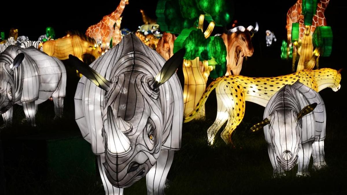 Chinese lanterns take surprising forms at Daniel Stowe Botanical Garden.