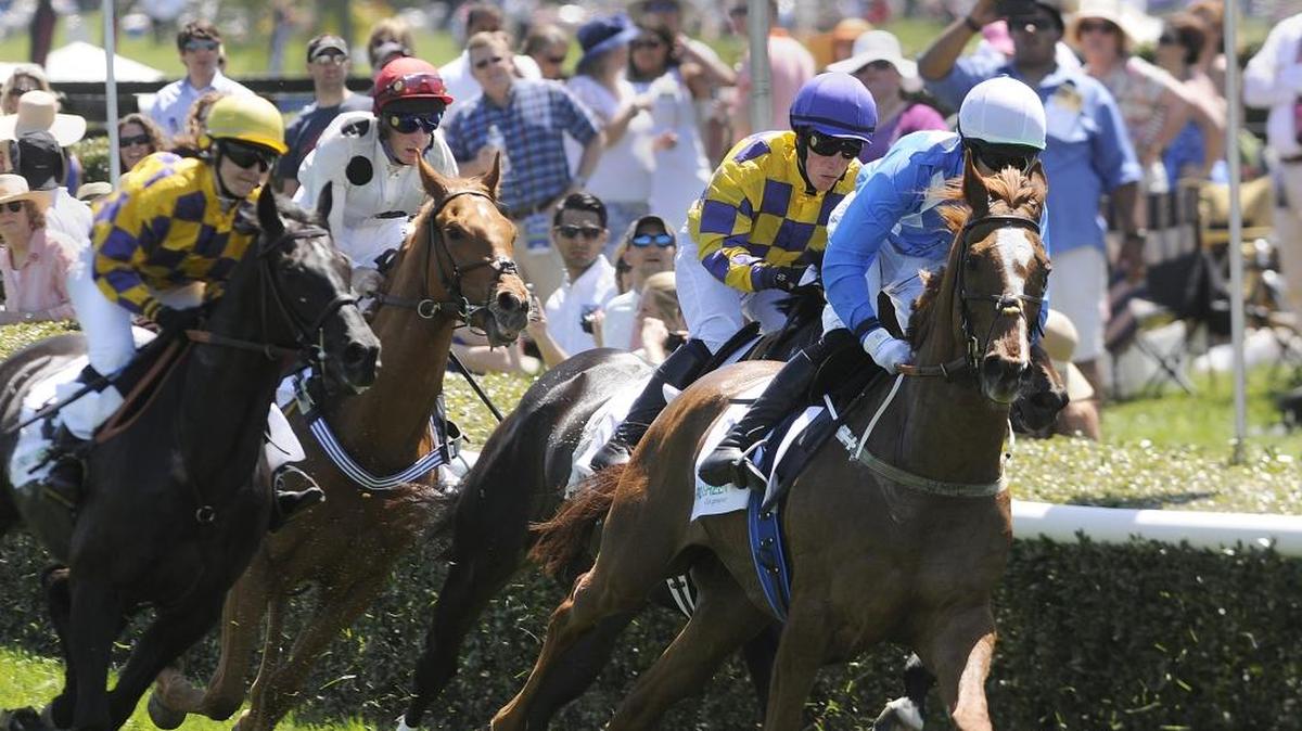Queen’s Cup Steeplechase6103 Waxhaw Highway, Mineral SpringsSaturday, 10 a.m. - 7 p.m.: Join thousands who come to see thoroughbreds compete, or just socialize while tailgating. Tickets $55 and up. www.queenscup.org
