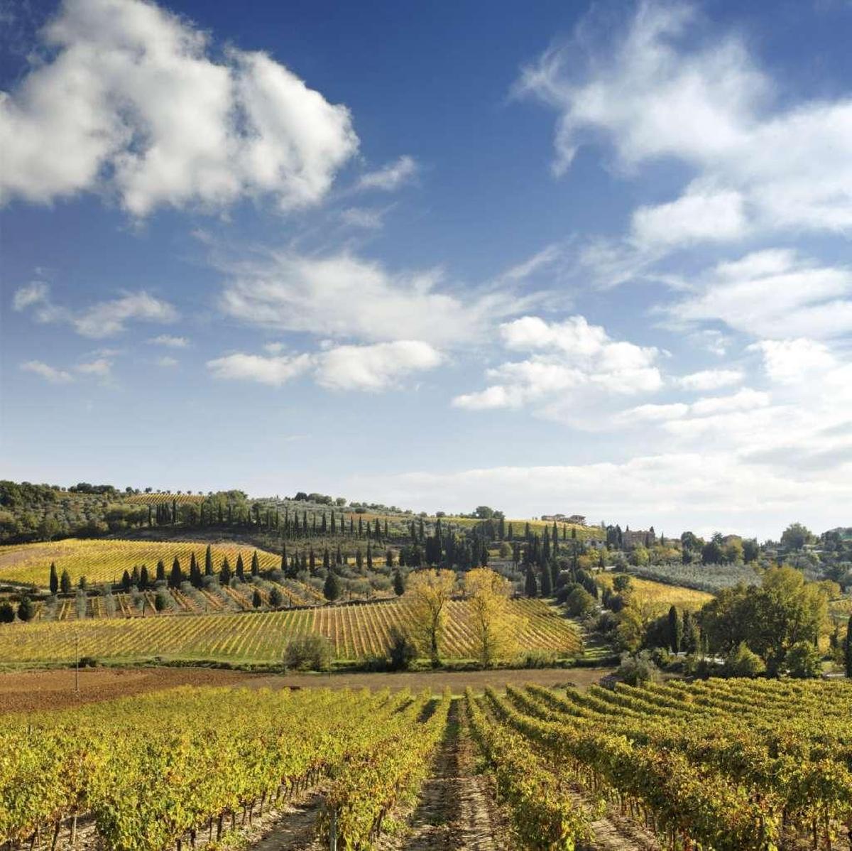 Wines from Montalcino in Italy’s Tuscan region are the subject of a tutored tasting Tuesday at Foxcroft Wine Co.