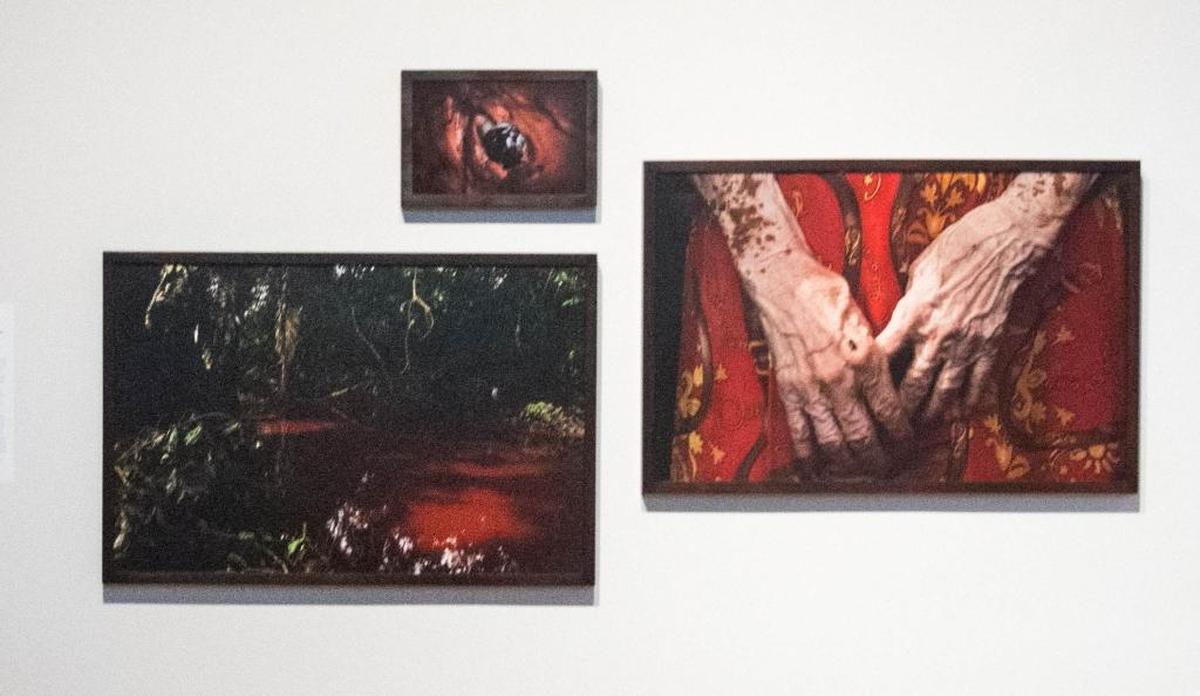 Koral Carballo’s “El último día del mundo.”