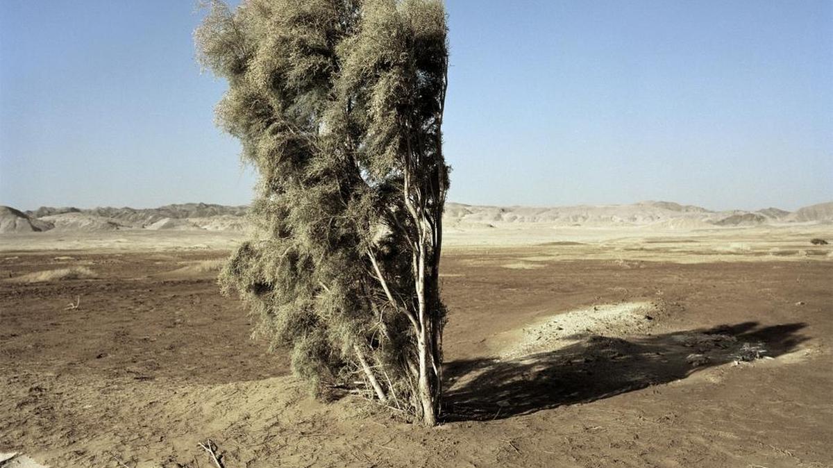 Xavier Guardans, “Giza Desert, Egypt,” 2004, archival cotton rag pigment print, 34” x 34.”