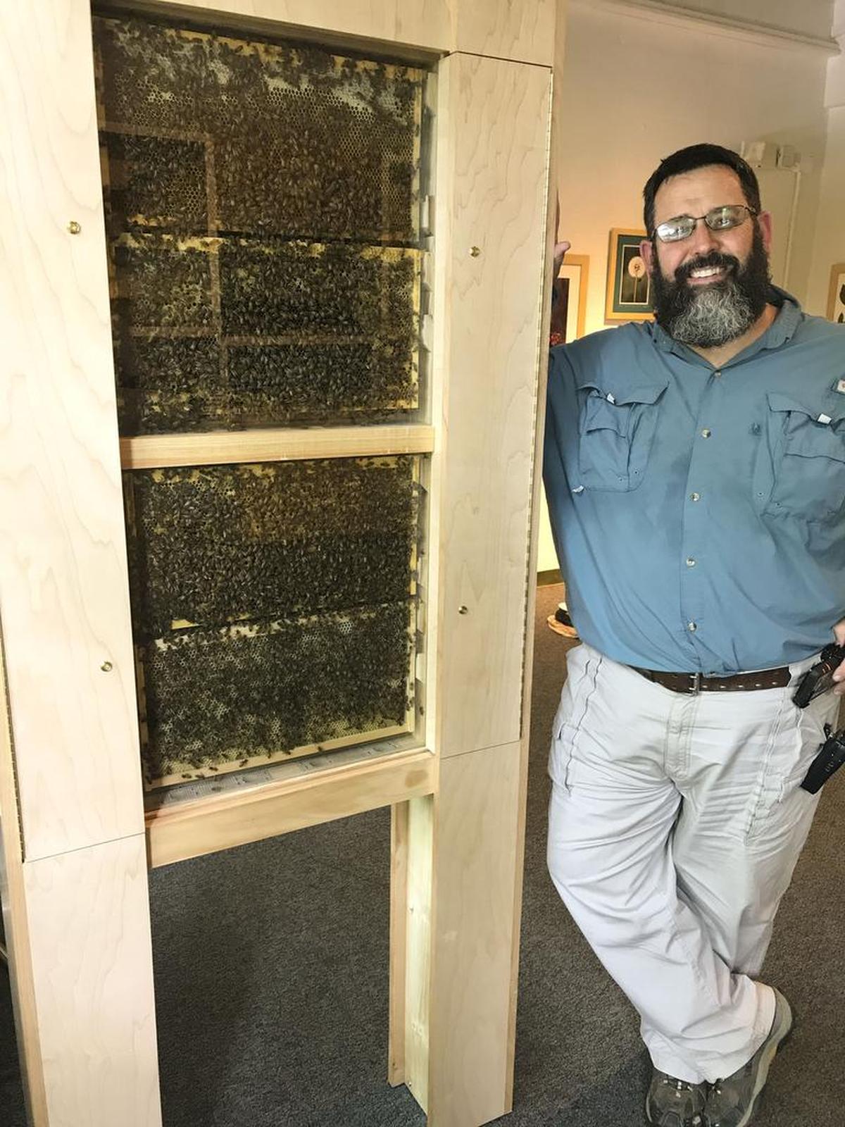 Bouknight with bees.