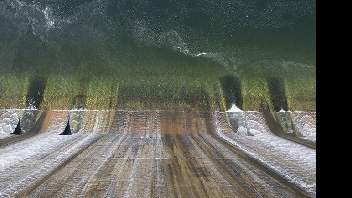 
Micah Cash’s “Norris” on view at The Light Factory. 
