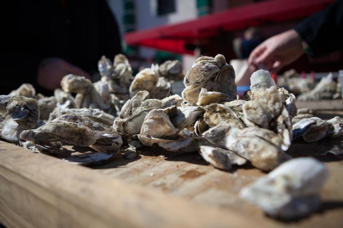 Get a taste of an afternoon oyster roast.
