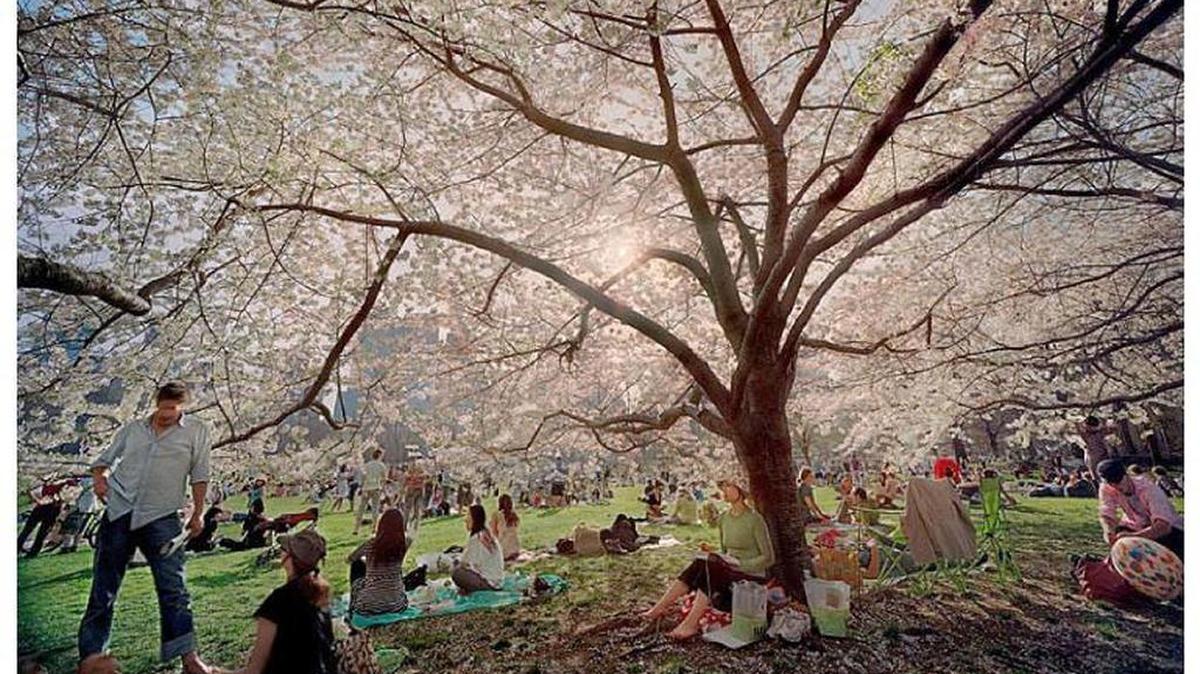 
Central Park, New York
