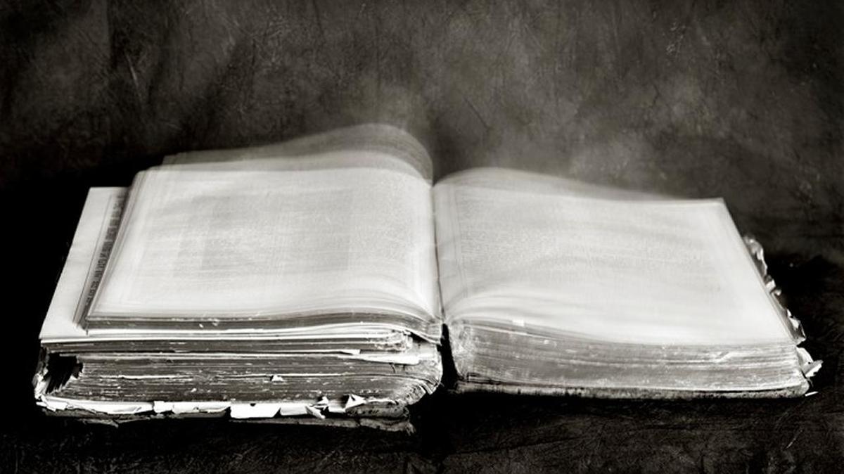 “Words in Flight” from “The Alchemy of Life” series by Linda Foard Roberts, 2014, toned gelatin silver print.