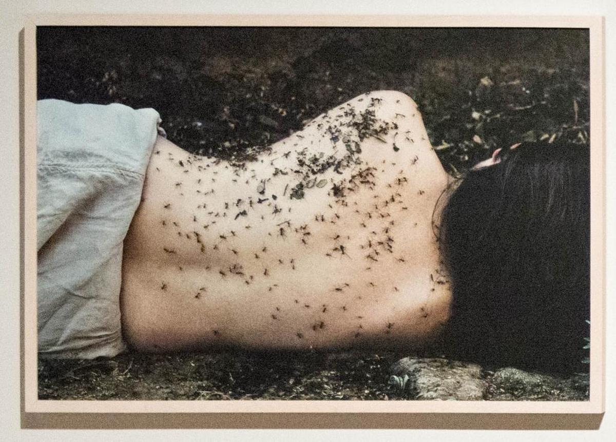 Karina Juárez’s “Hormiguero,” from the series “Acciones para recordar,” 2012.
