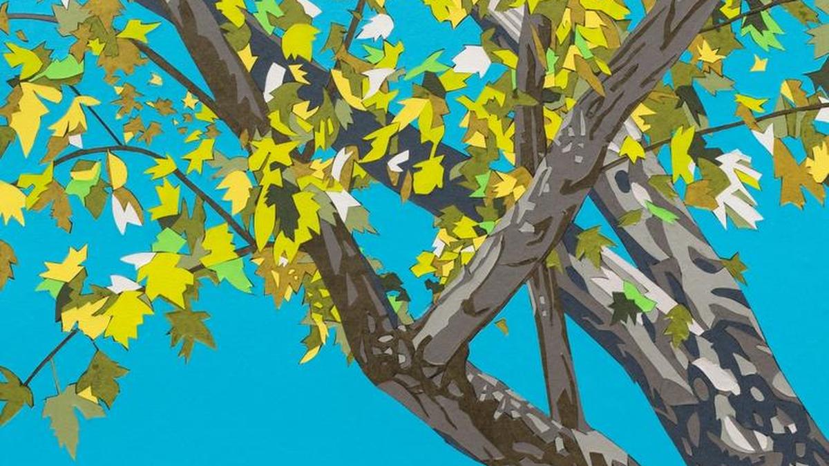 “Backyard Silver Maple” by Kirk Fanelly; 2017.