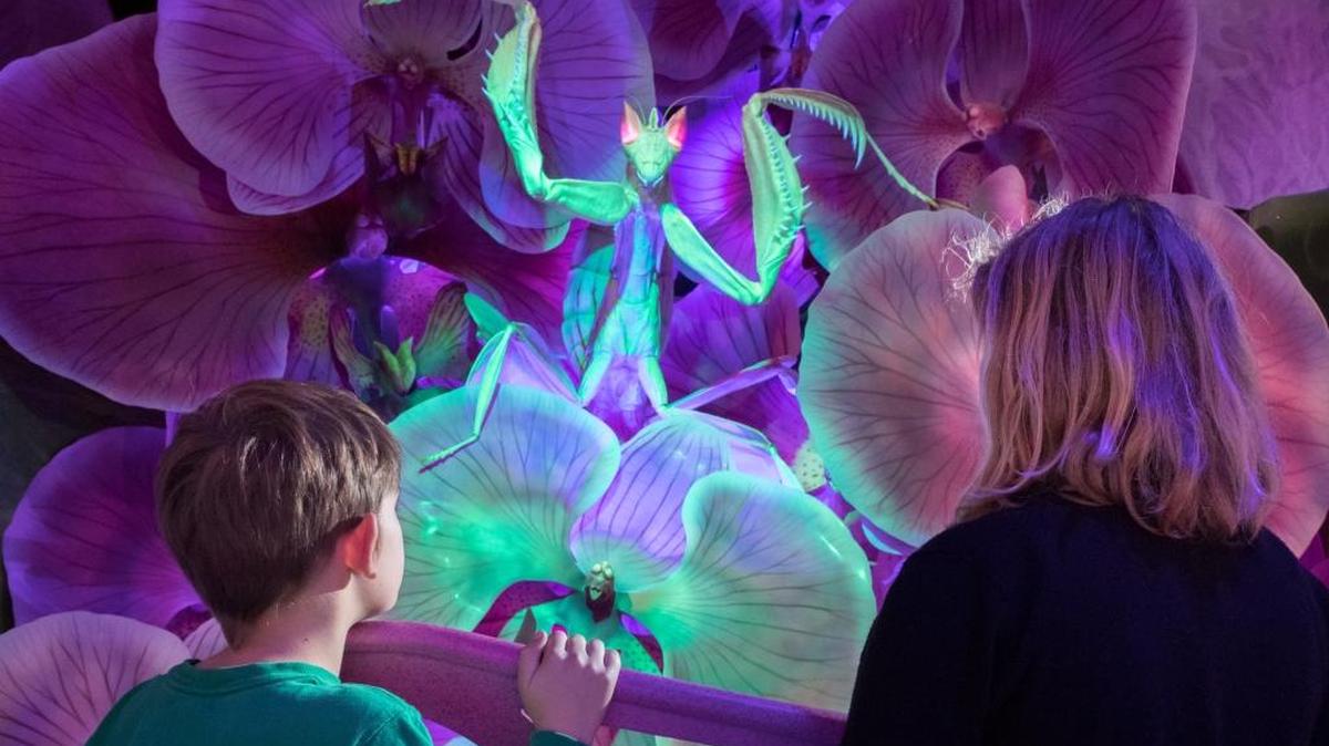 Keep your head, as “Bug Lab” heads over to Discovery Place in December.