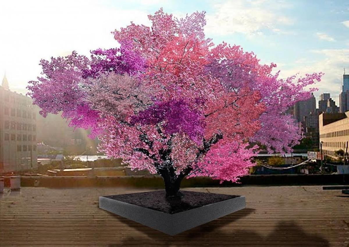 Artist’s rendering of Tree of 40 Fruit: Grafting produces one tree that bears 40 different kinds of stone fruit. This is how it looks in bloom.