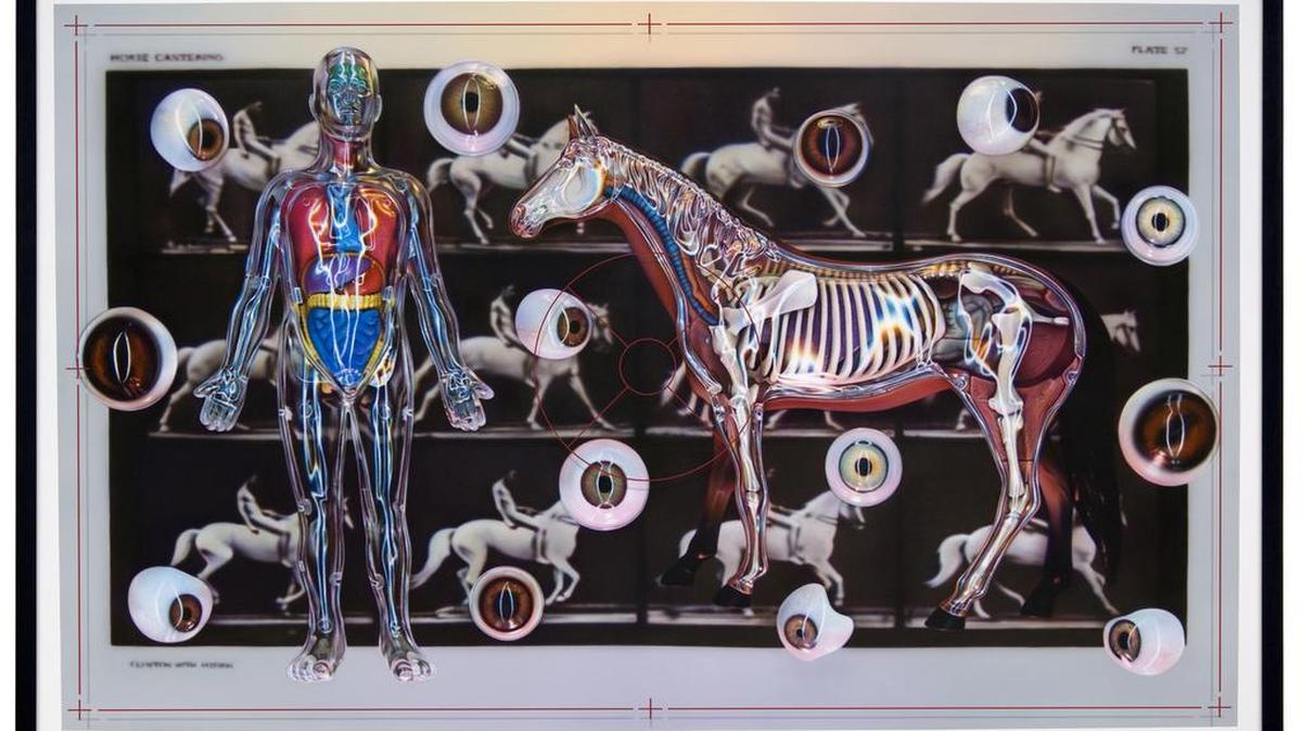 Richard Heipp’s “Clinton with Rider, 2009.”
