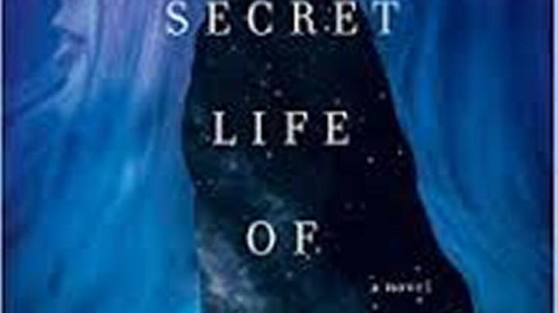 Stephen King says ‘Secret Life of Souls’ a ‘can’t-put-it-down narrative’