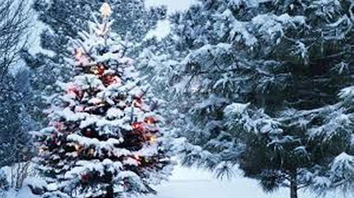 Reading relieves chaos of that Time of Year