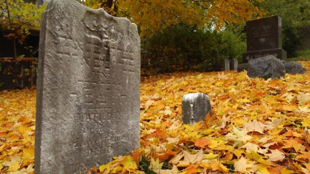 Queen City Ghost Tours Uptown CharlotteMonday, 6 p.m., 7:30 p.m., 9 p.m.: See a haunted Revolutionary War and slave cemetery, haunted Civil War hospital, haunted neighborhoods and more. Nightly tours until Oct. 31; tickets $15 adults, $8 children ages 8-12. See queencityghosttours.com or call 704-890-5195.