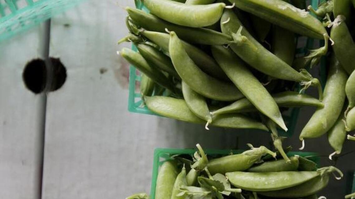 Spring for all: Farmers markets, concert series and festivals