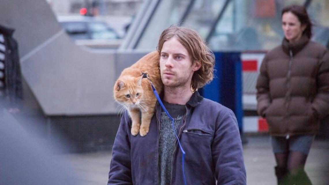 ‘Bob:’ Amazing cat saves junkie, charms audiences