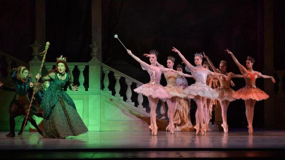 A ‘Sleeping Beauty’ comes back to life after five years