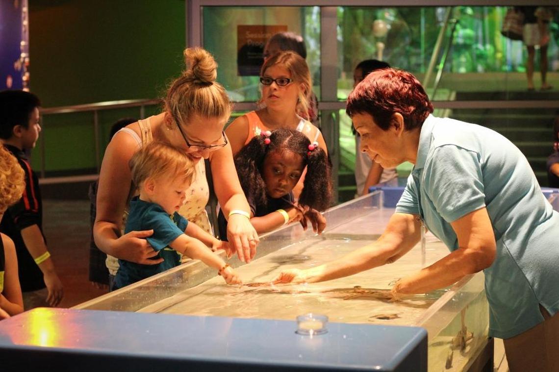 Discovery Place Chief Learning Officer Tifferney White said she is passionate about developing STEM skills in students.&nbsp;