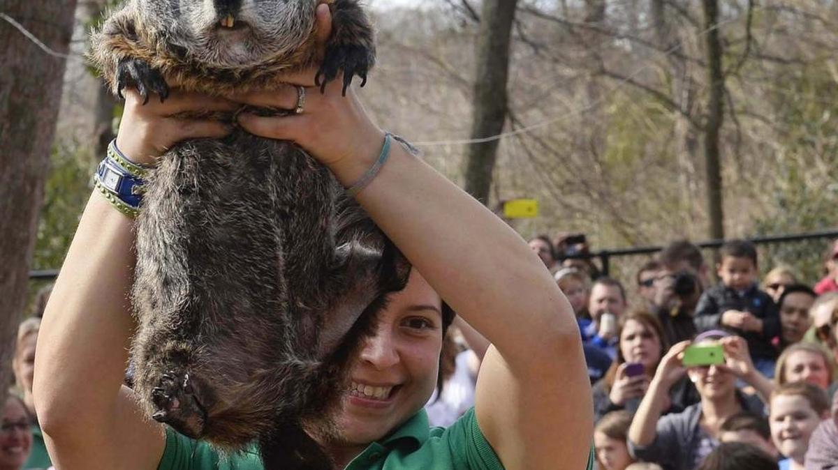 Groundhog Day CelebrationCharlotte Nature Museum, 1658 Sterling RoadTuesday, noon - 3 p.m.: Resident groundhog, Queen Charlotte, predicts when spring will arrive. Queen’s Proclamation at 2:30 p.m. at Dragonfly Theatre. Museum admission $8. Follow Queen Charlotte on Twitter @CLTGroundhog.
