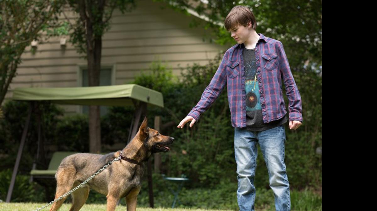 
Josh Wiggins in “Max.”
