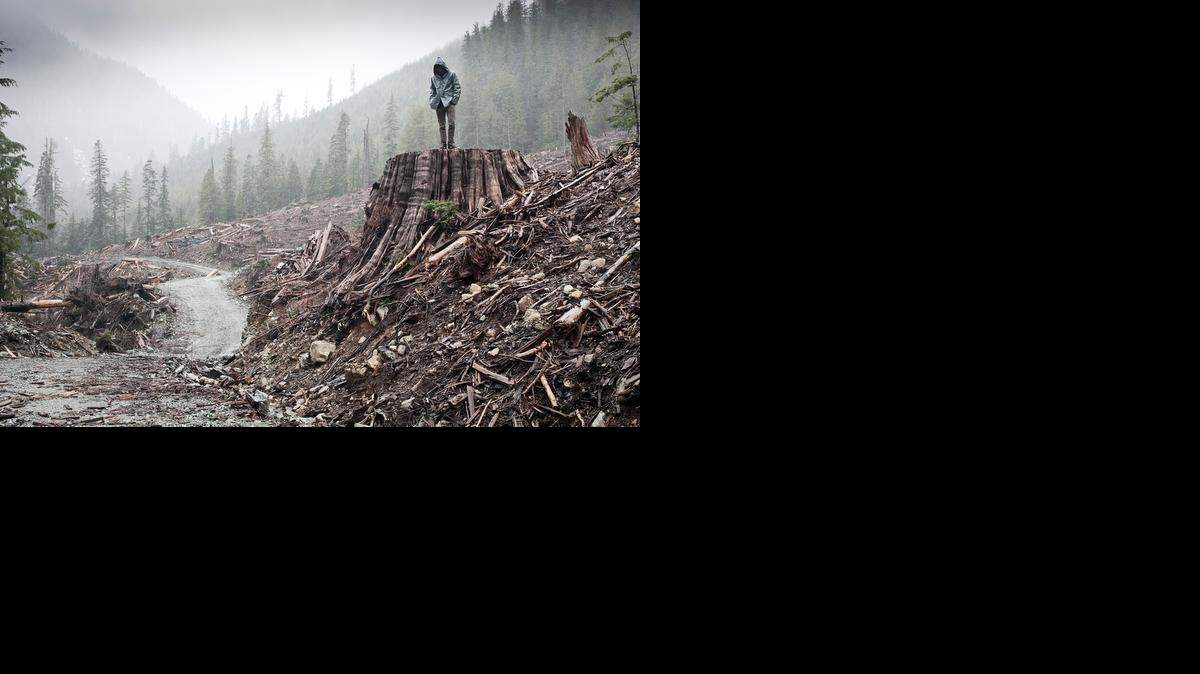 
A still from the documentary “If A Tree Falls: A Story of the Earth Liberation Front” by filmmaker by Marshall Curry.

