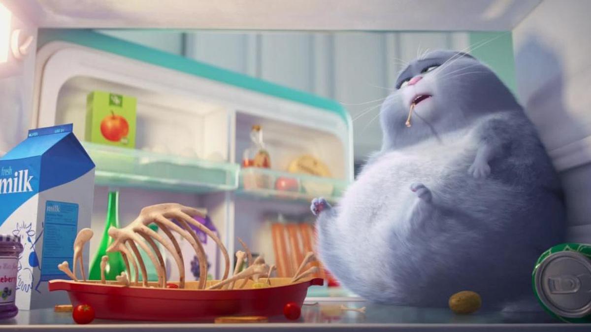 Chloe, who can’t be bothered unless you have food, in a scene from “The Secret Life of Pets.”