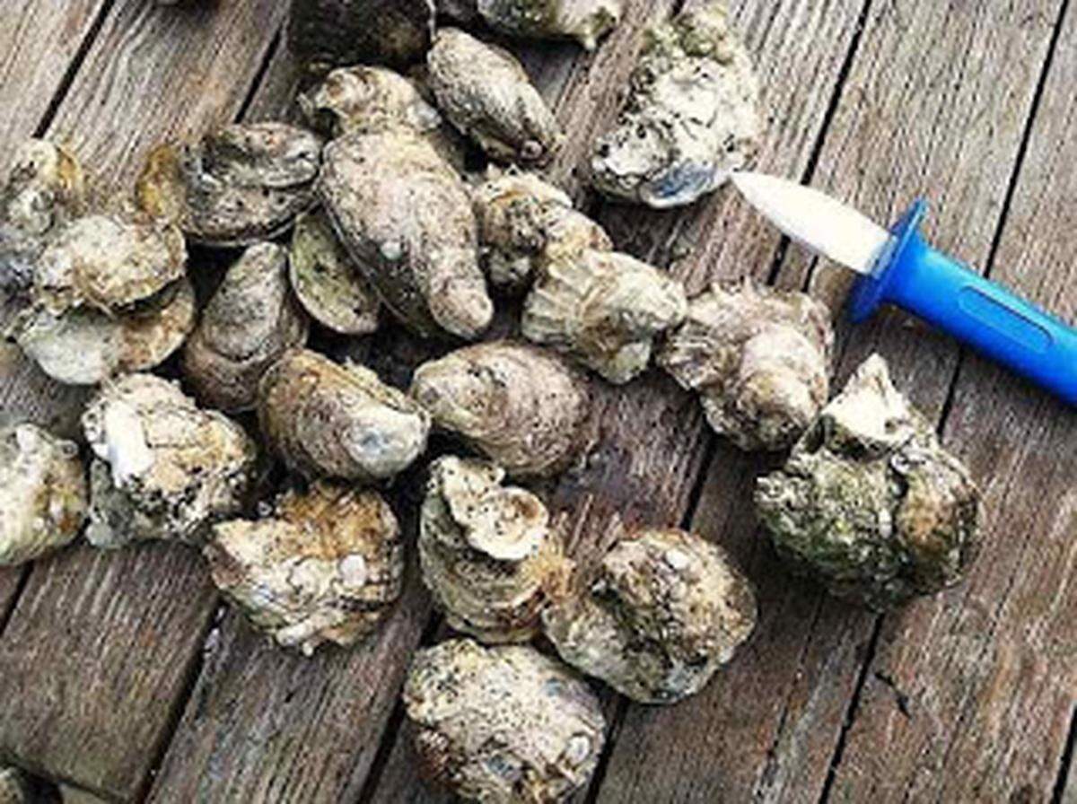 People can get Vibrio by eating raw or undercooked seafood or exposing an open wound to brackish water or seafood drippings. Raw oysters are a common culprit, the CDC says.