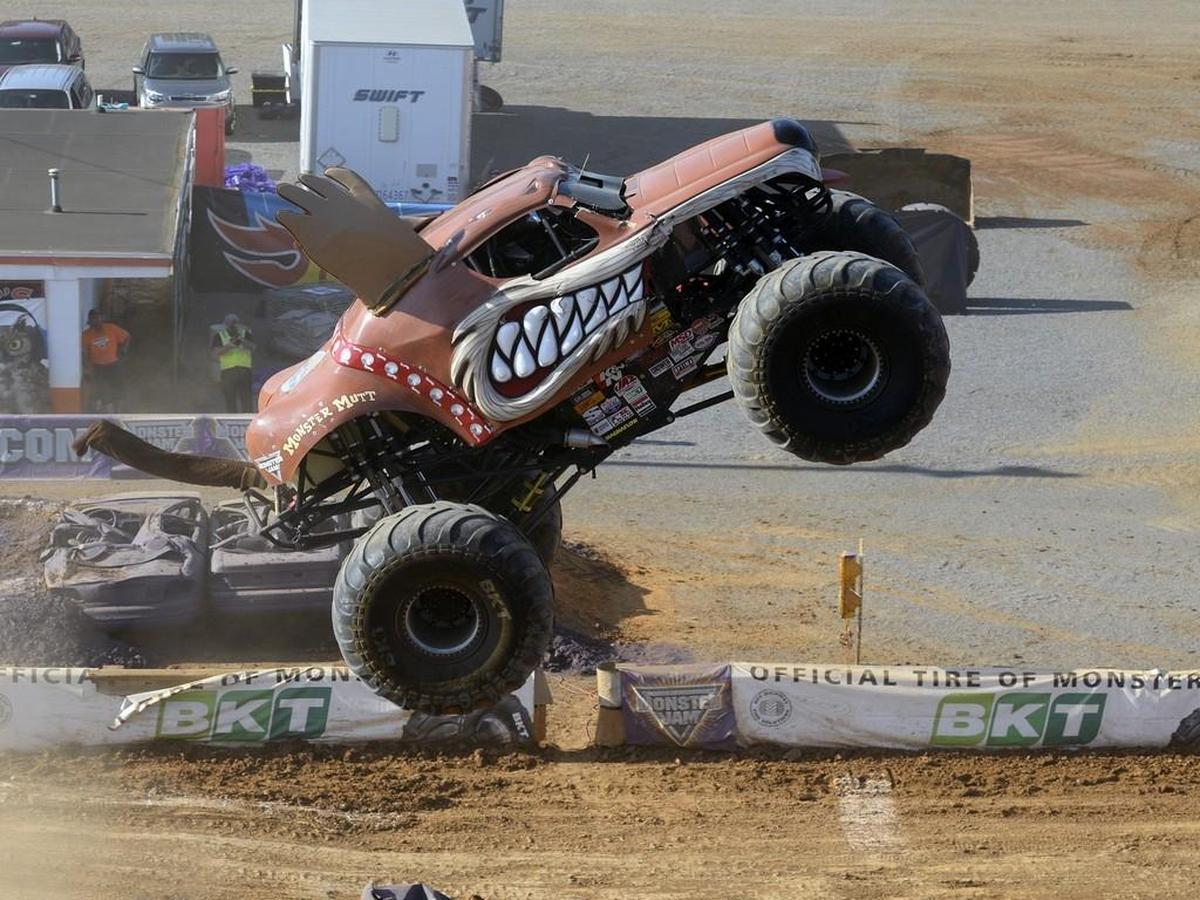 Monster Mutt